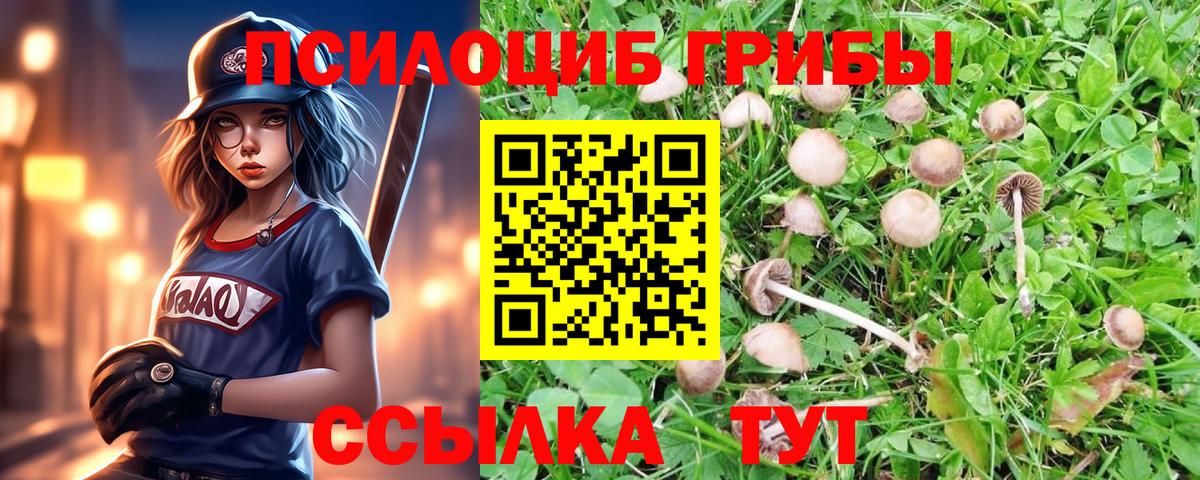 Галлюциногенные грибы MAGIC MUSHROOMS Новошахтинск